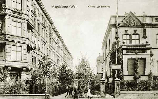 Die kleine Lindenallee an der heutigen G. Hauptmannstraße